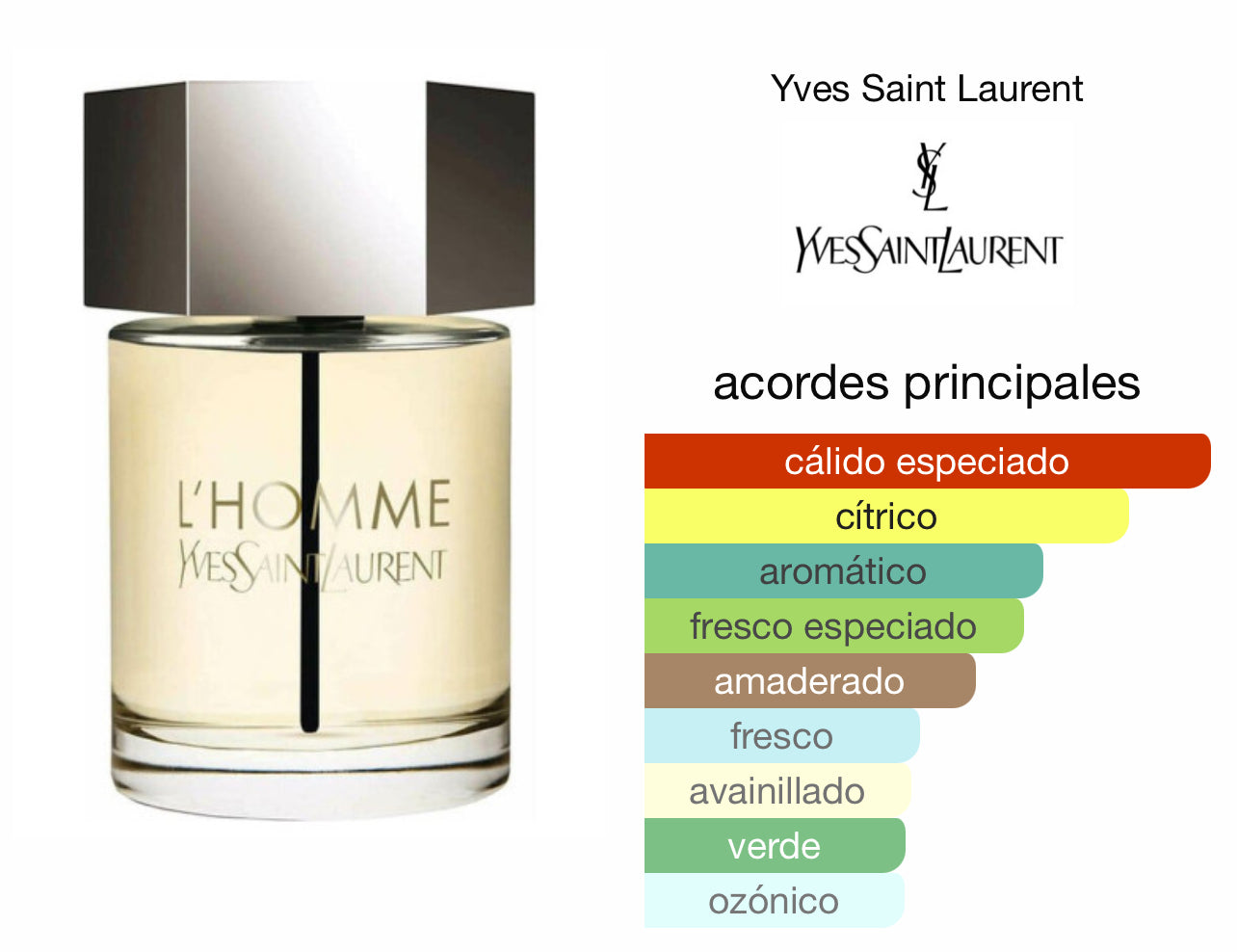 L'Homme Yves Saint Laurent EDT Le Perfum