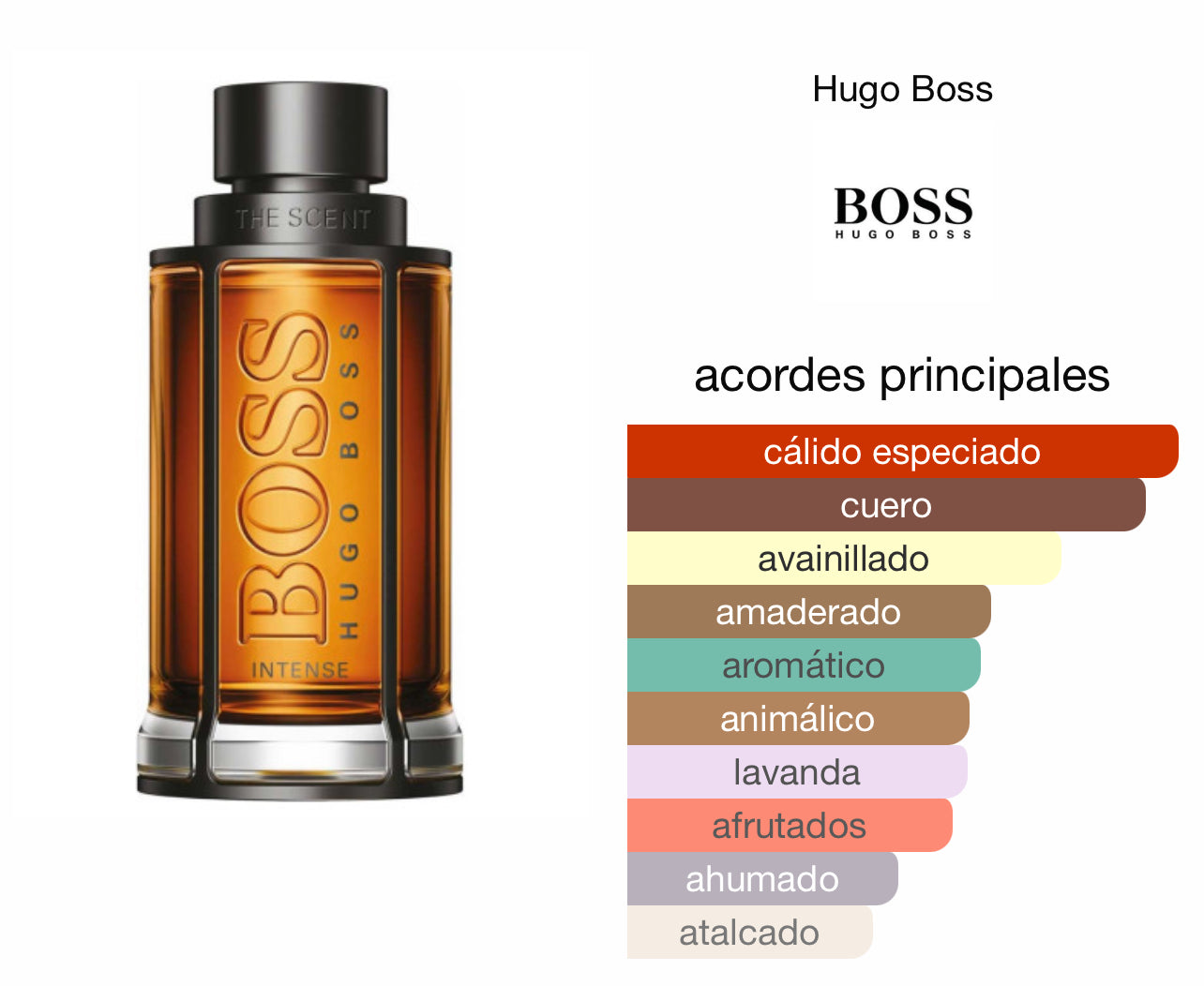 Hugo Boss The Scent Intense Le Perfum