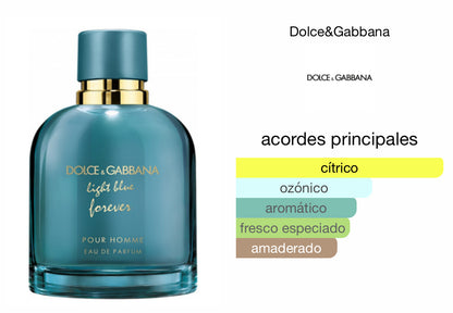 Light Blue Forever Pour Homme Dolce & Gabbana EDP Le Perfum