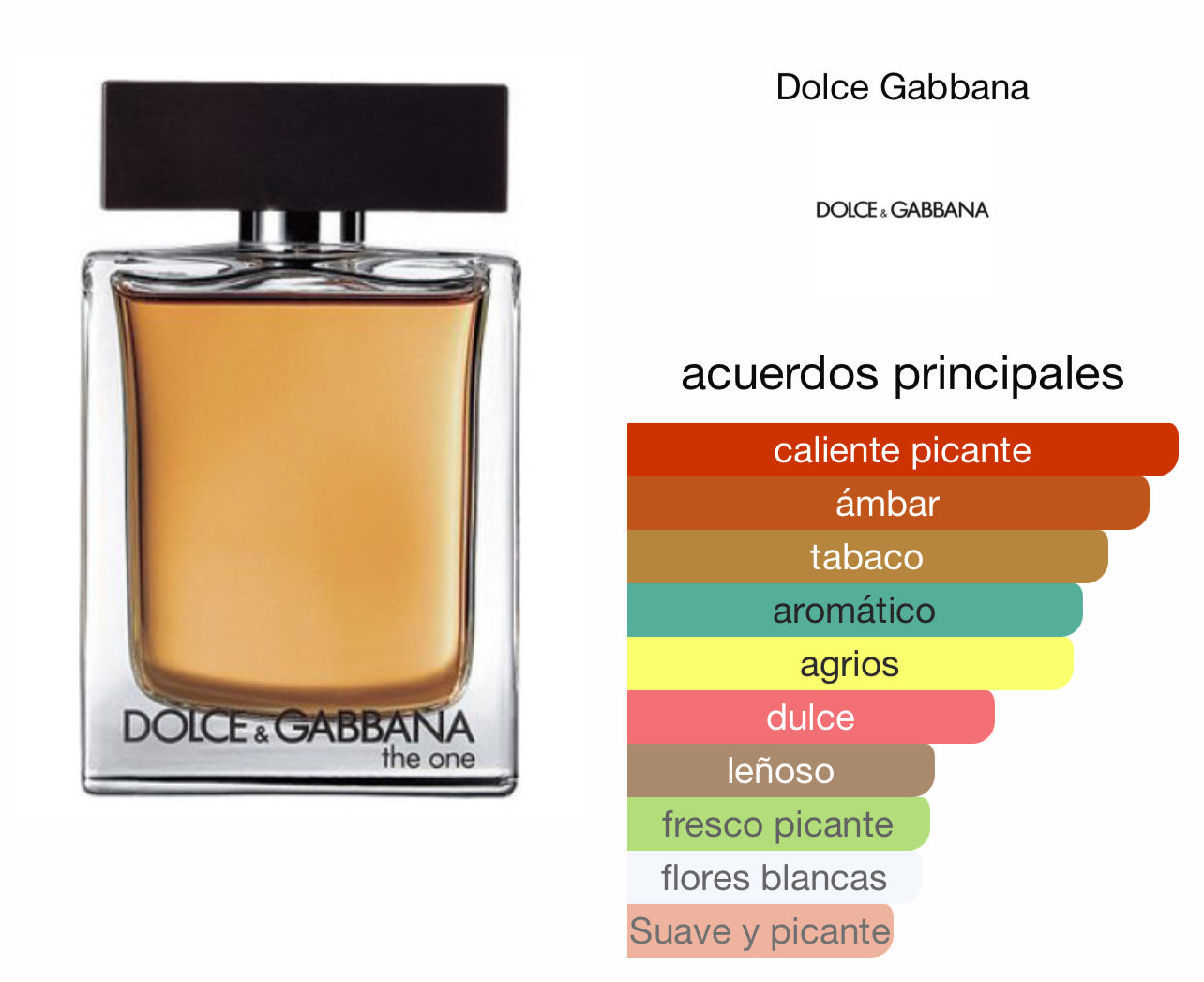 The One Dolce & Gabbana EDT Le Perfum