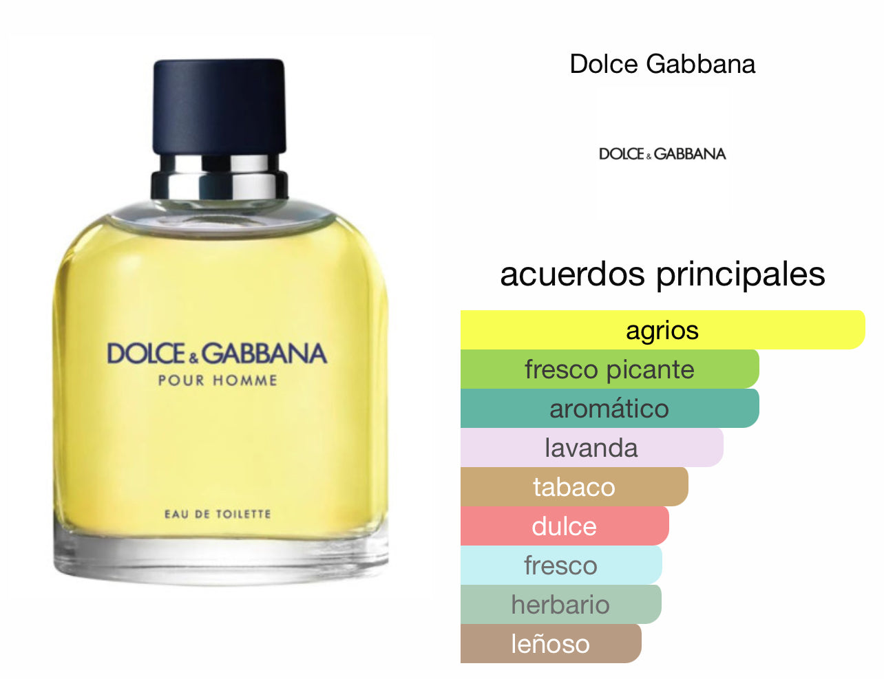 Dolce Gabbana Pour Homme EDP Le Perfum