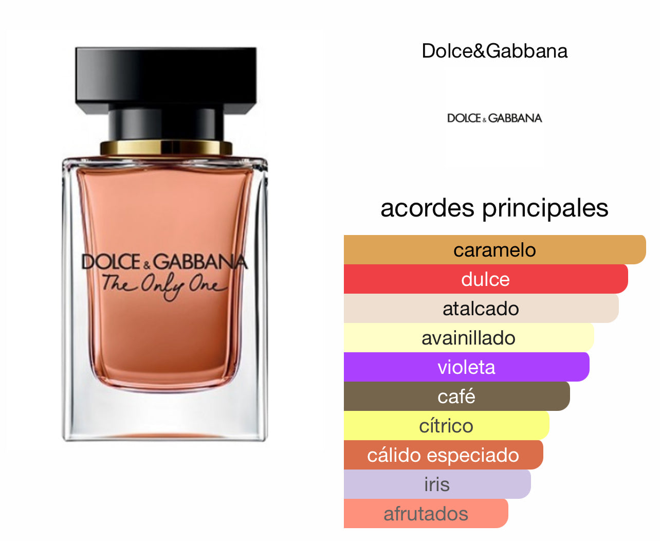 The Only One Dolce & Gabbana EDP Le Perfum