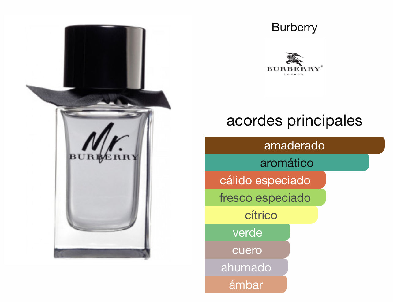 Mr. Burberry EDT Le Perfum